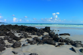 Galapagos Santa Cruz